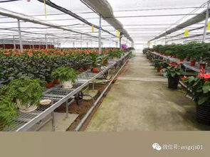 常見的溫室大棚供暖設(shè)備