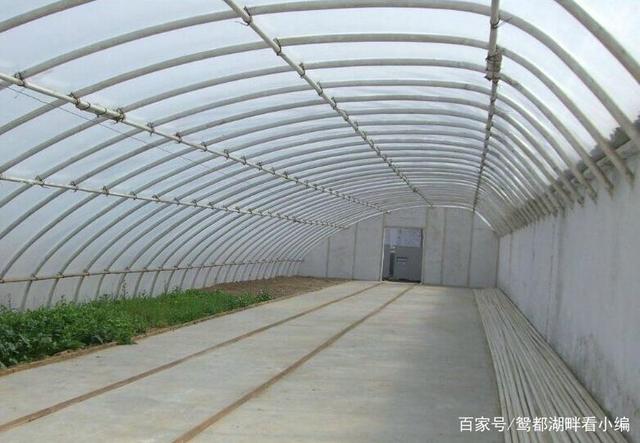 建一個(gè)一畝地的蔬菜大棚需要多少錢(qián)？